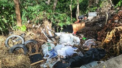 CRISIS AMBIENTAL EN LA VÍA El CARMEN APICALA - CUNDAY: Un llamado a la autoridad y a la conciencia