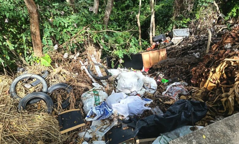 CRISIS AMBIENTAL EN LA VÍA El CARMEN APICALA - CUNDAY: Un llamado a la autoridad y a la conciencia
