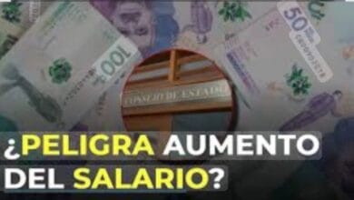 EL SALARIO MÍNIMO A JUICIO: El Consejo de Estado Define el Futuro de los 2 Millones de Pesos