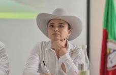 La congresista LINA MARÍA GARRIDO intenta criminalizar al periodismo que la investiga por corrupción